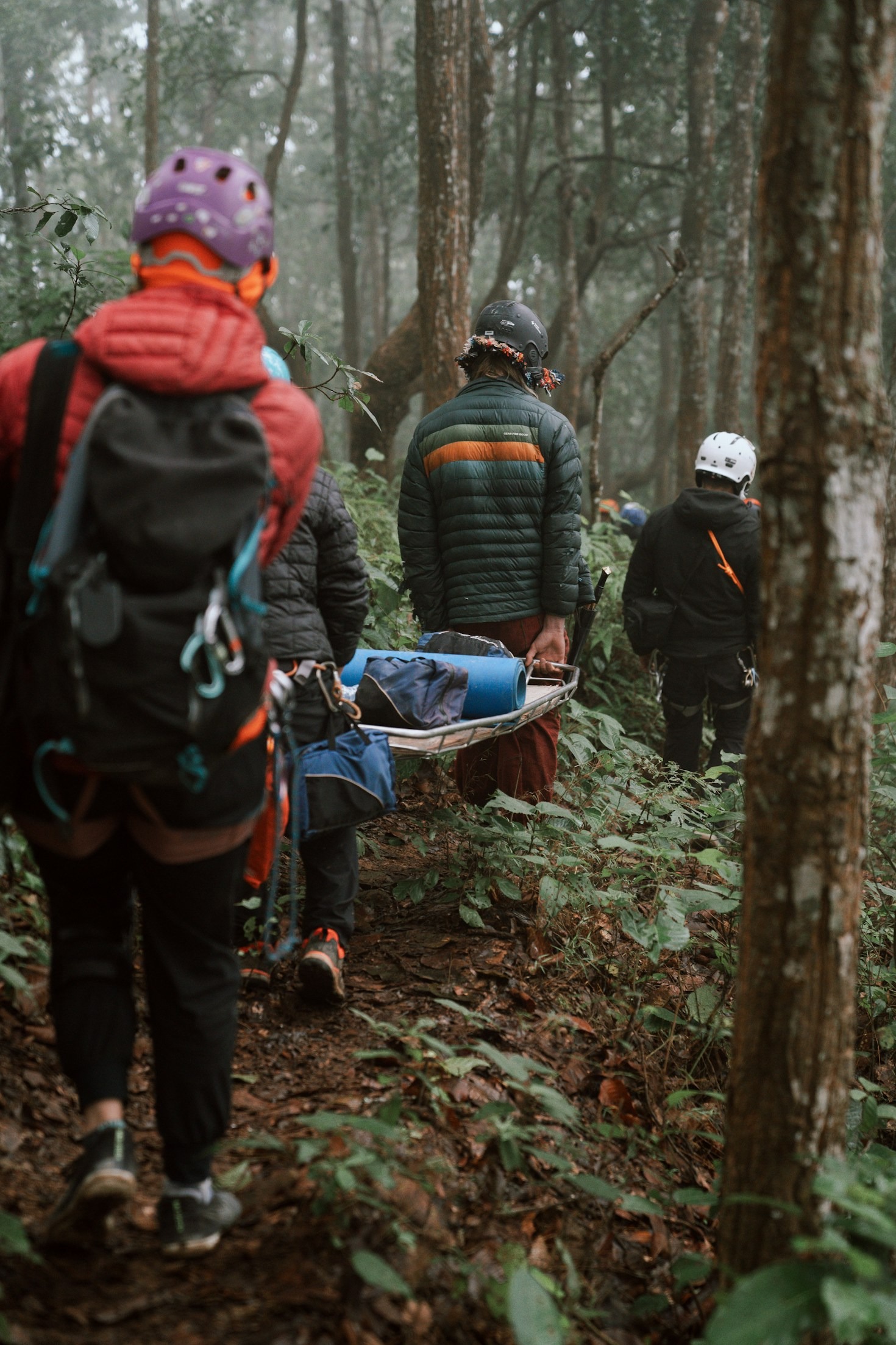 Avances de nuestros proyectos forestales recientes