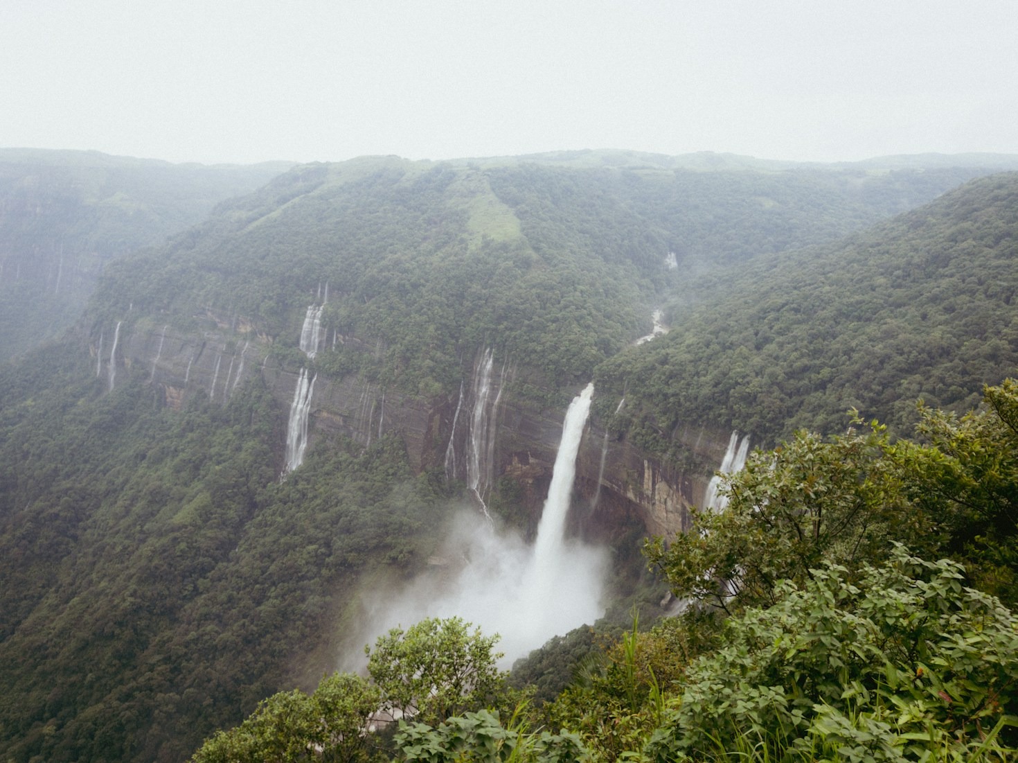 Estrategias para proteger nuestra biodiversidad nativa